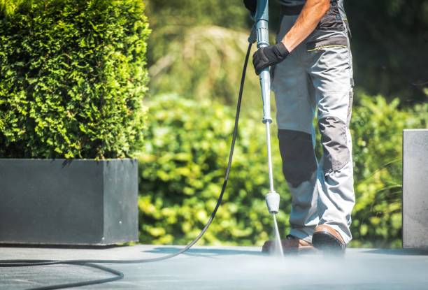 Best Roof Washing  in Abram, TX
